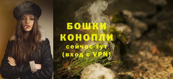 PSILOCYBIN Гатчина