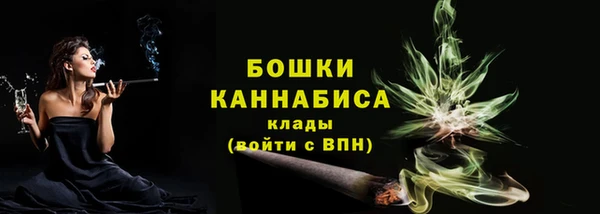 spice Осташков