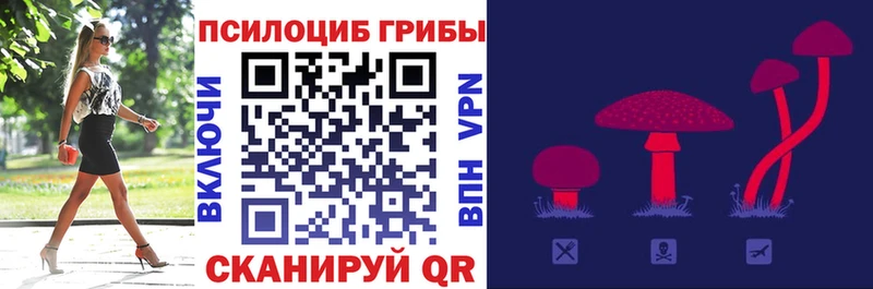 магазин    Ликино-Дулёво  Псилоцибиновые грибы мухоморы 